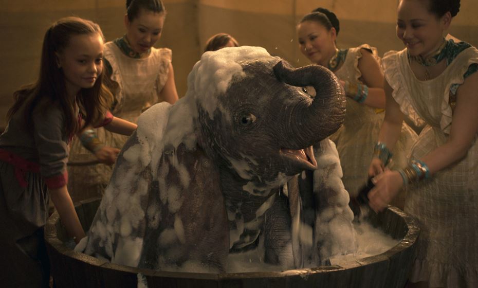 Dumbo Dumbo