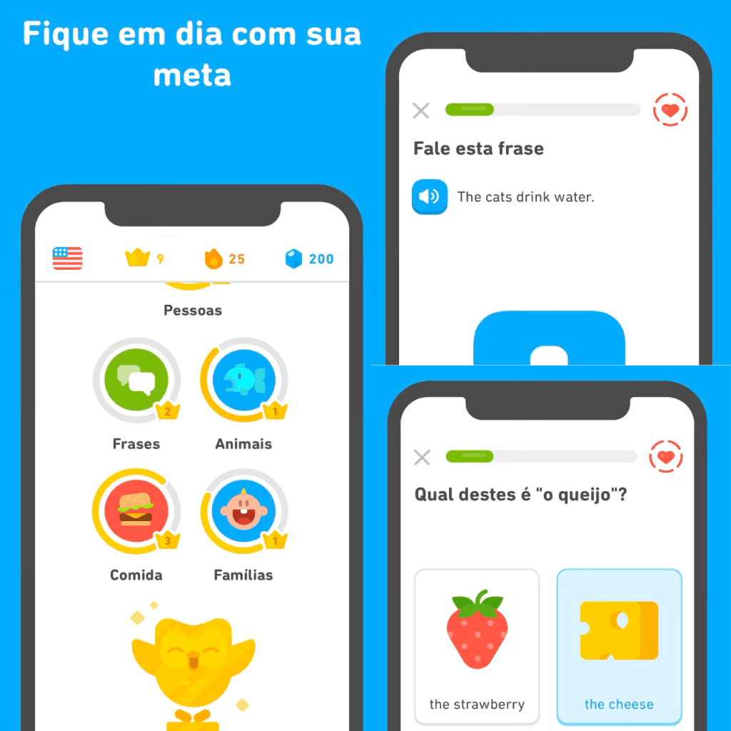 Duolingo Duolingo