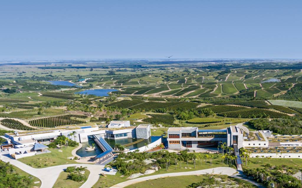 Bodega Garzón Bodega Garzón