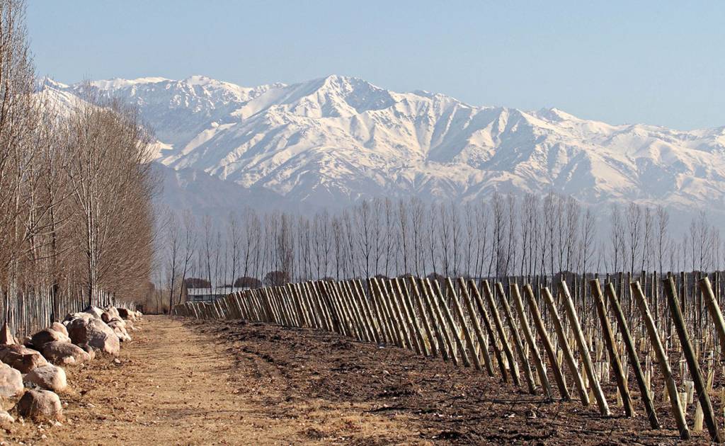 Vinícola Zuccardi Argentina2 Vinícola Zuccardi Argentina2