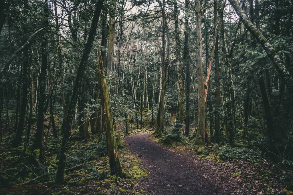 japão Floresta Aokigahara, Yamanashi - A cerca de 100 km de Tóquio, localizada na base noroeste do monte Fuji, por lá existe a lenda de que uma grande quantidade de ferro existe sob o solo, que faz as bússolas de viajantes parem de funcionar corretamente, fazendo com que o turista fique perdido. A verdade é bem mais triste que isso, já que o local é, na verdade, muito procurado por pessoas que querem tirar suas vidas, com cerca de 100 suicídios relatados ao ano no local.
