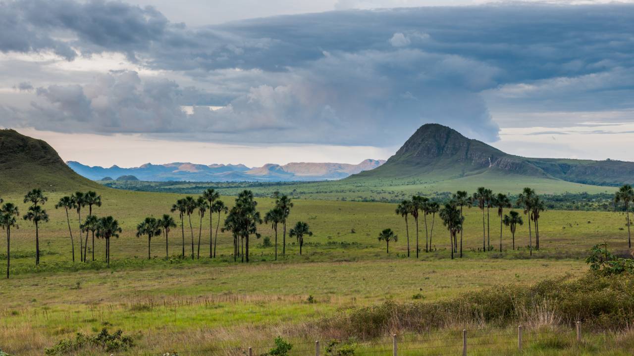 Cerrado