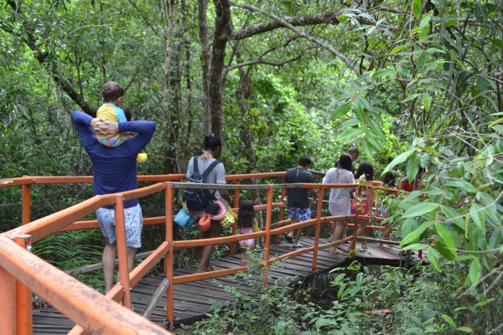 Chapada das Mesas: passarelas fáceis para a família toda. Na foto, caminho para Cachoeira do Santuário