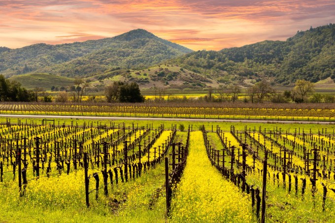 Napa Valley, Califórnia, Estados Unidos