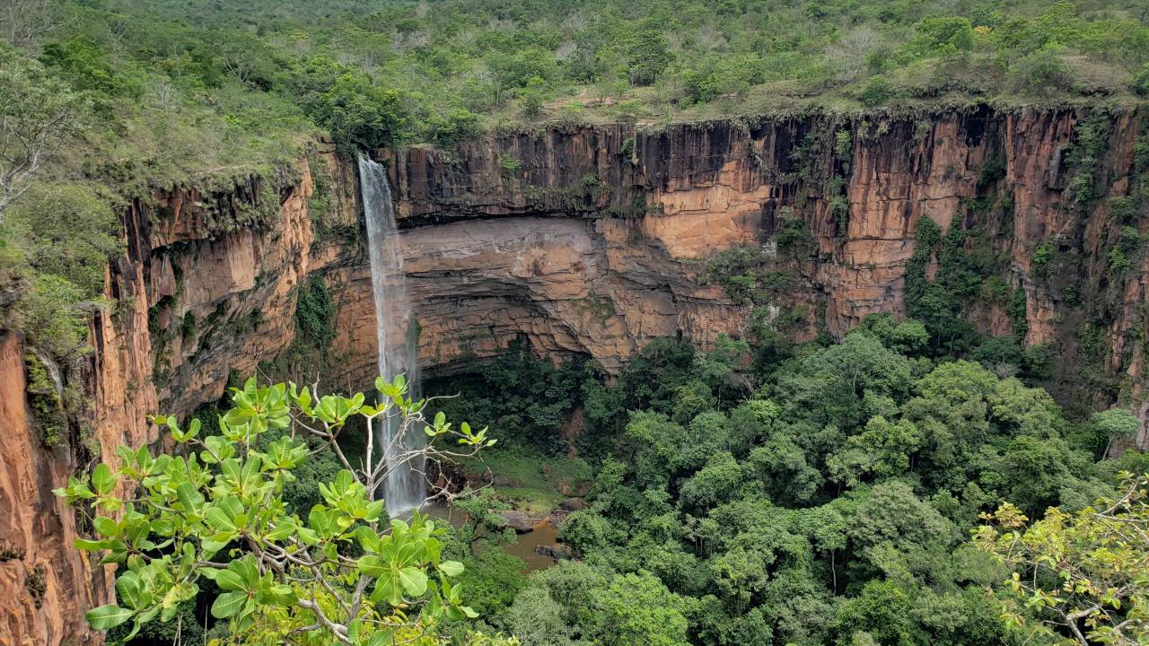 Poconé, Pantanal, Mato Grosso, Brasil