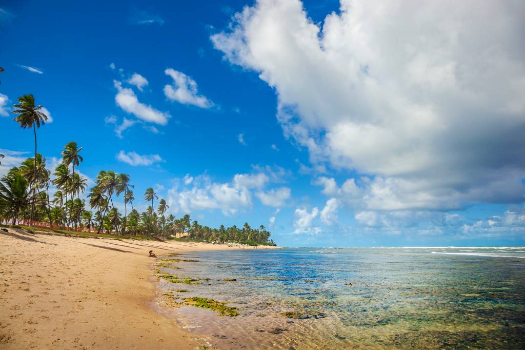 Praia do Forte, Bahia, Brasil