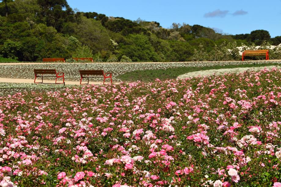 Mátria Parque de Flores, São Francisco de Paula, Rio Grande do Sul, Brasil Mátria Parque de Flores, São Francisco de Paula, Rio Grande do Sul, Brasil