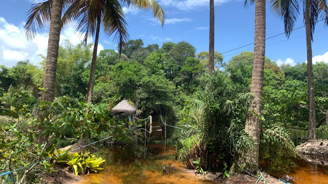 O rio que separa a casa onde estou da rua, com a ponte afundada, na Praia dos Algodões