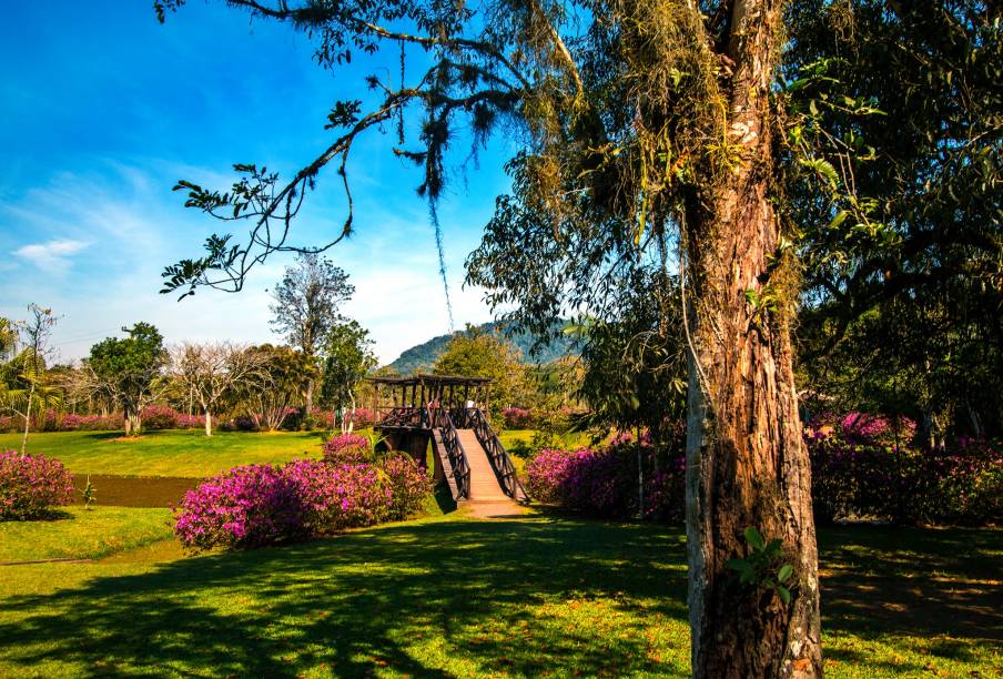 As paisagens bucólicas de Timbó. As paisagens bucólicas de Timbó.