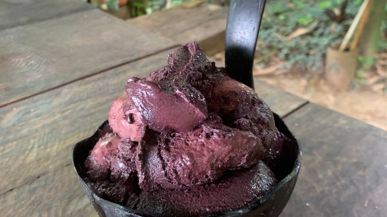 O açaí mais delicioso e sustentável, em Algodões