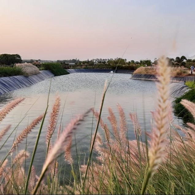 No Bloemen, além de campos de flores, há lagos e fontes artificiais.