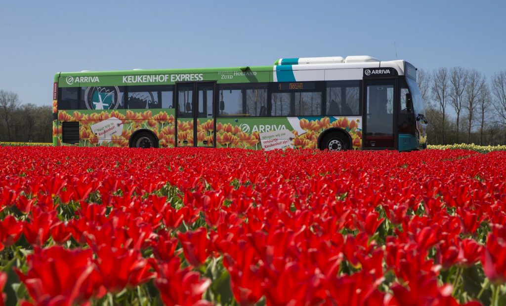 Jardins de Keukenhof, Lisse, Holanda