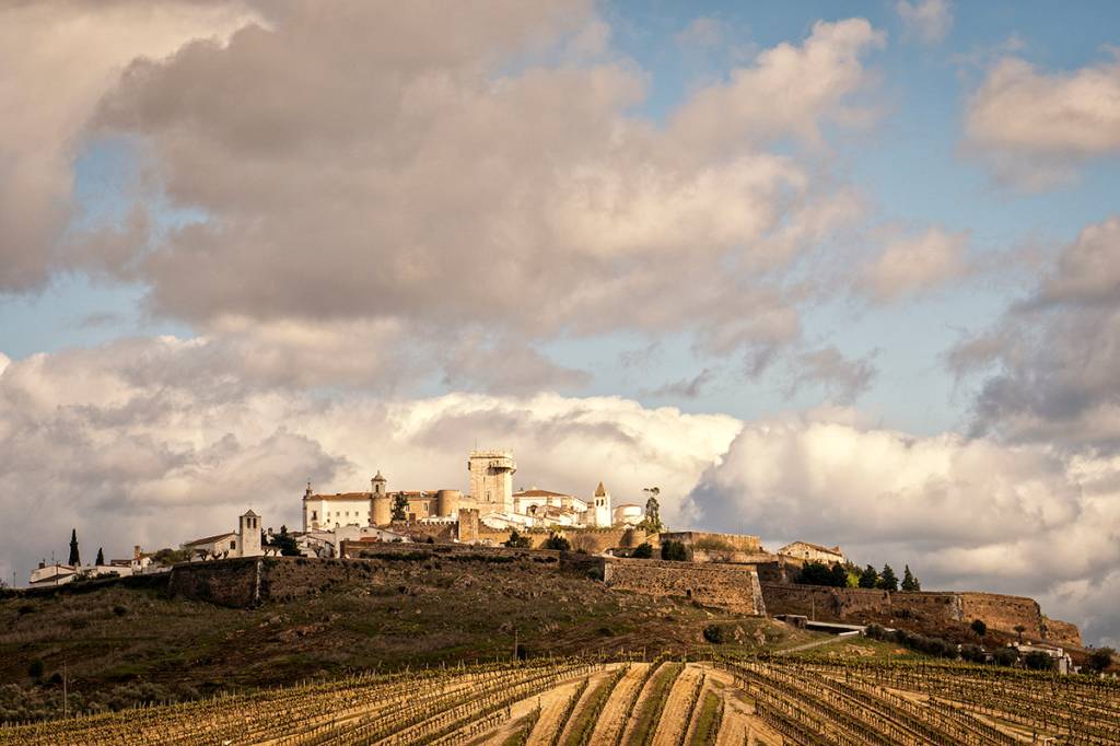 _DSC6540 Fileiras de vinhedos em primeiro plano, uma colina e, lá no alto, muralhas, uma torre de castelo e casinhas brancas