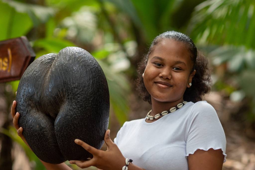 O tamanho e o formato inusitado do coco-de-mer, só encontrado em Praslin.