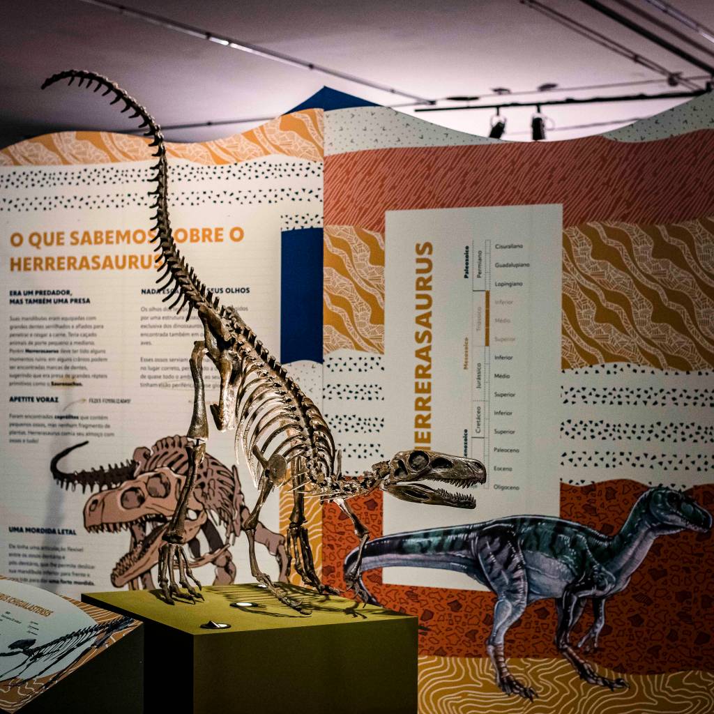 herrerasaurus, parque ibirapuera, são paulo herrerasaurus, parque ibirapuera, são paulo