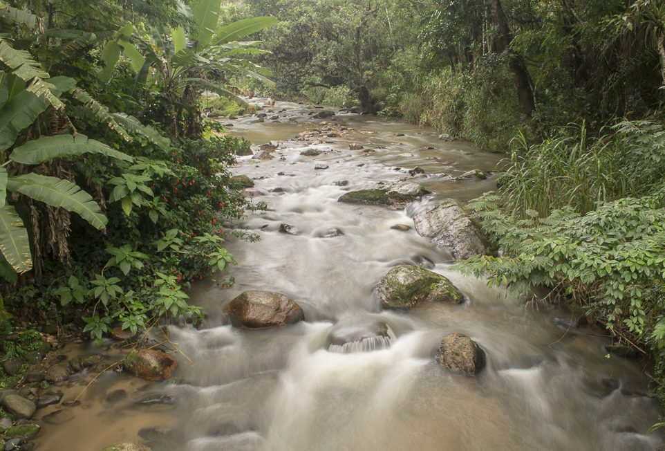 Rio Macaé, Lumiar, Rio de Janeiro, Brasil Rio Macaé, Lumiar, Rio de Janeiro, Brasil