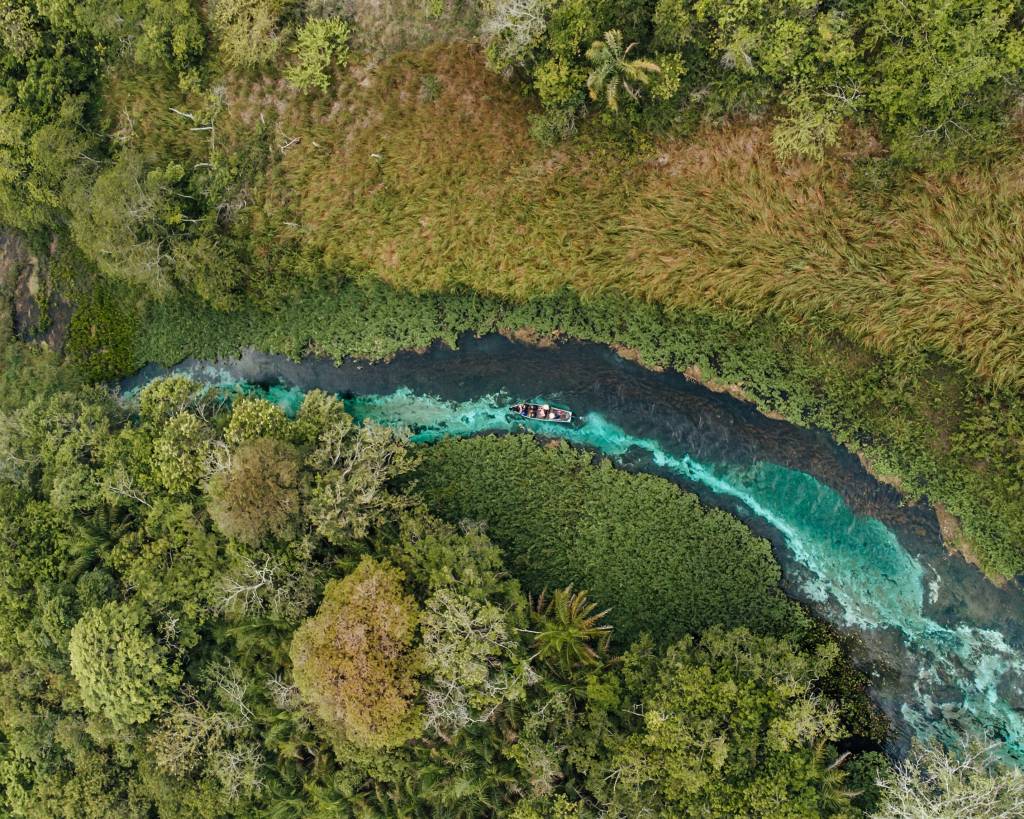 Flutuação no Rio Sucuri, em Bonito