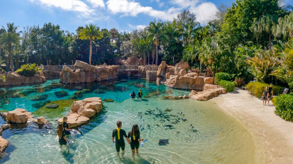 The Grand Reef, Discovery Cove, Orlando, Flórida, Estados Unidos The Grand Reef, Discovery Cove, Orlando, Flórida, Estados Unidos