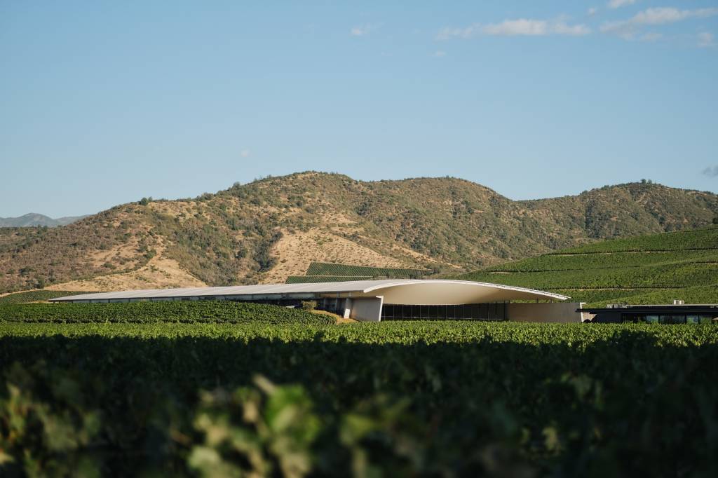 Viña Vik, Vale do Cachapoal, Chile Viña Vik, Vale do Cachapoal, Chile