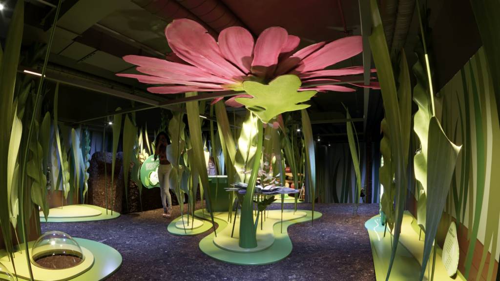 Formigas em Ação, Museu da Imaginação, São Paulo, Brasil Formigas em Ação, Museu da Imaginação, São Paulo, Brasil