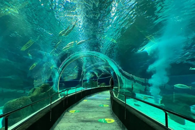 aquario-marinho-do-rio-de-janeiro-tancao-tunel-submarino