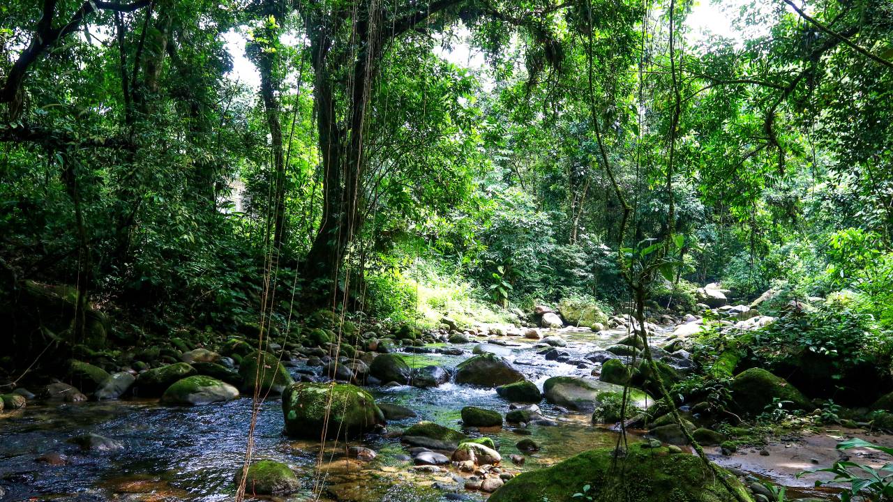 O Rio Soberbo, Guapimirim, Rio de Janeiro