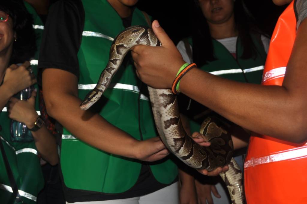 zoologico-de-salvador-visita-noite-zoo-noturno