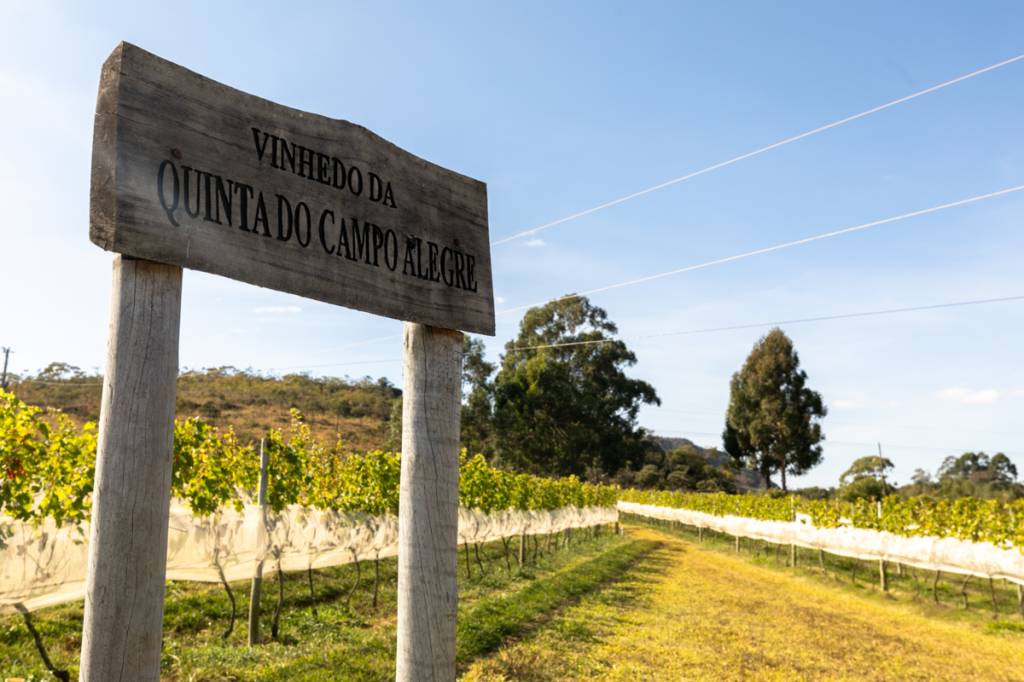 Vinícola Quinta do Campo Alegre, Diamantina, Minas Gerais