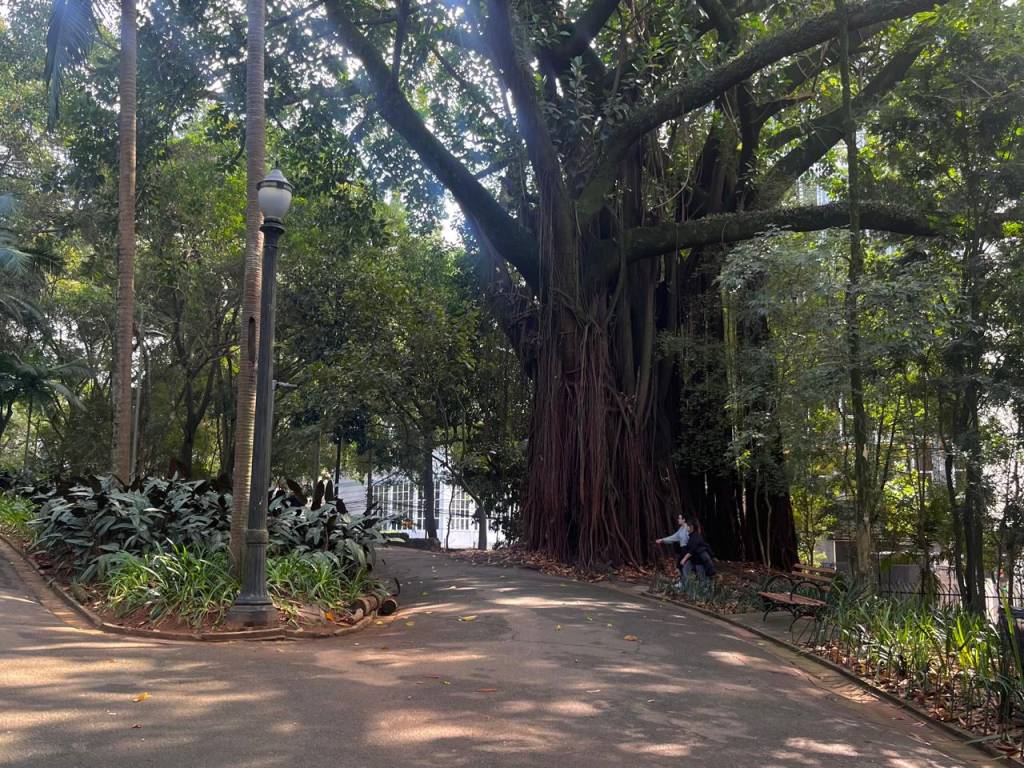 Parque Buenos Aires, São Paulo, Brasil Parque Buenos Aires, São Paulo, Brasil