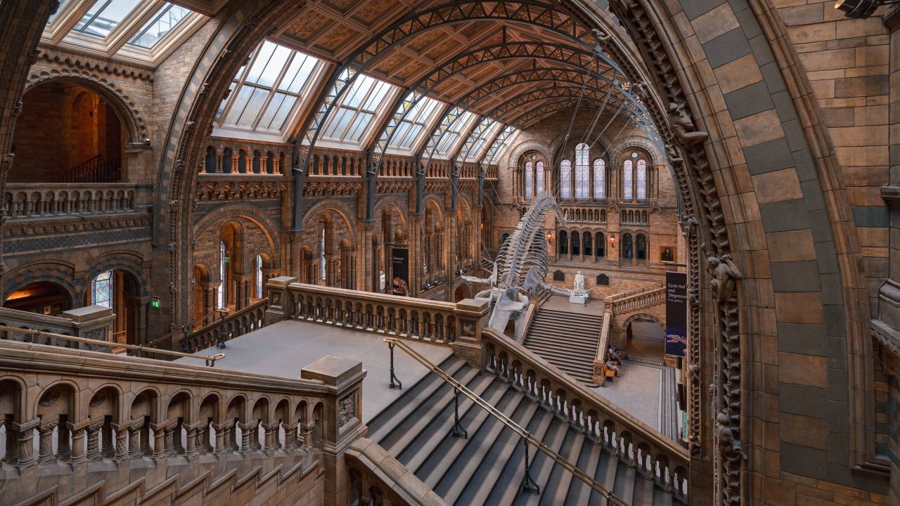 Museu de História Natural, Londres, Inglaterra, Reino Unido
