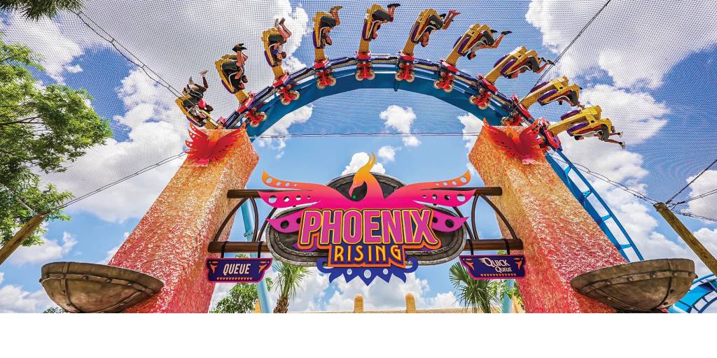 Phoenix Rising, Busch Gardens, Tampa, Flórida, Estados Unidos