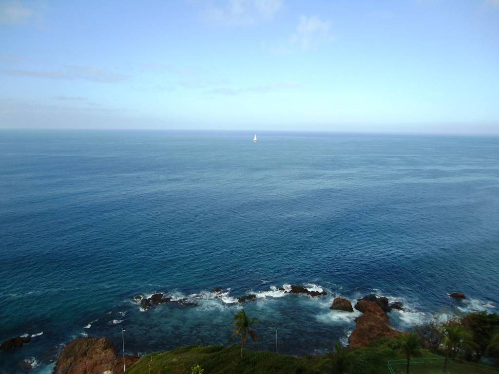 ondina-salvador ondina-salvador