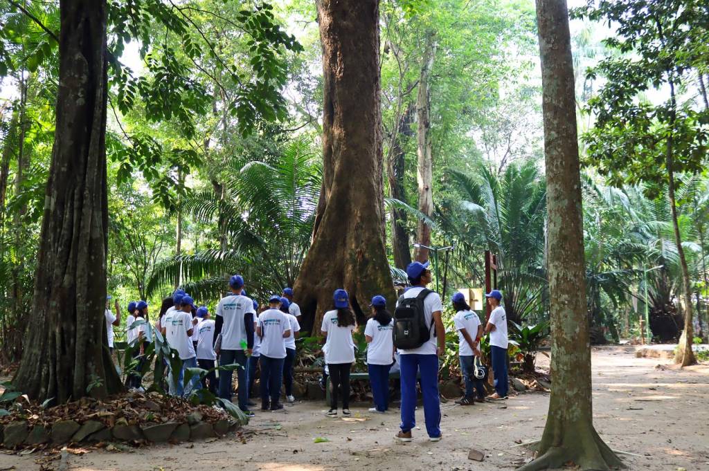 bosque-da-ciencia bosque-da-ciencia