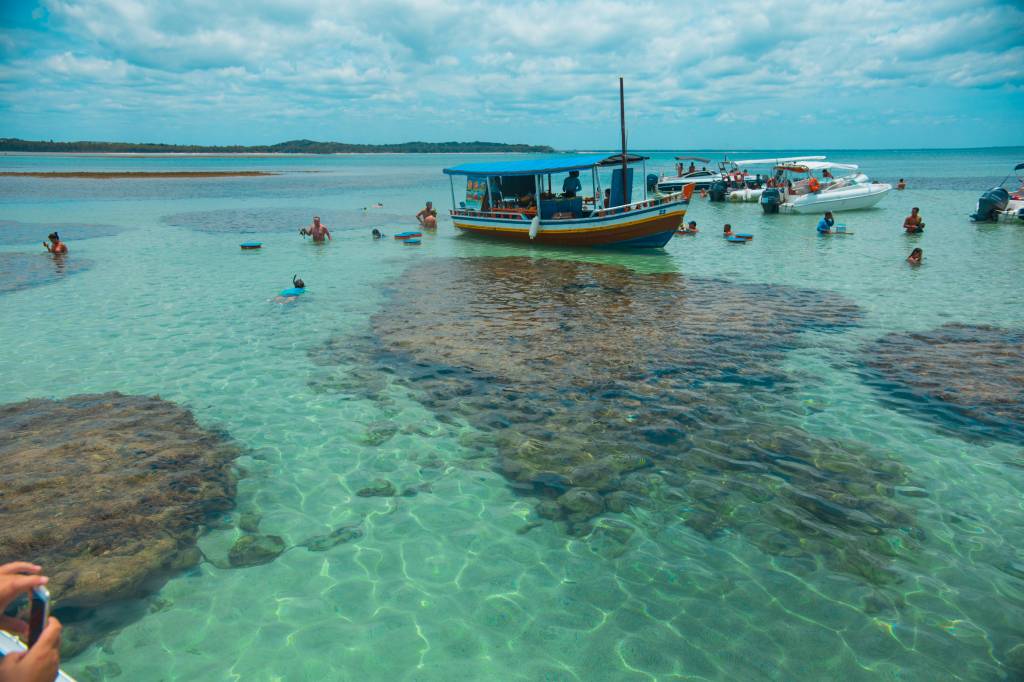 morere-boipeba