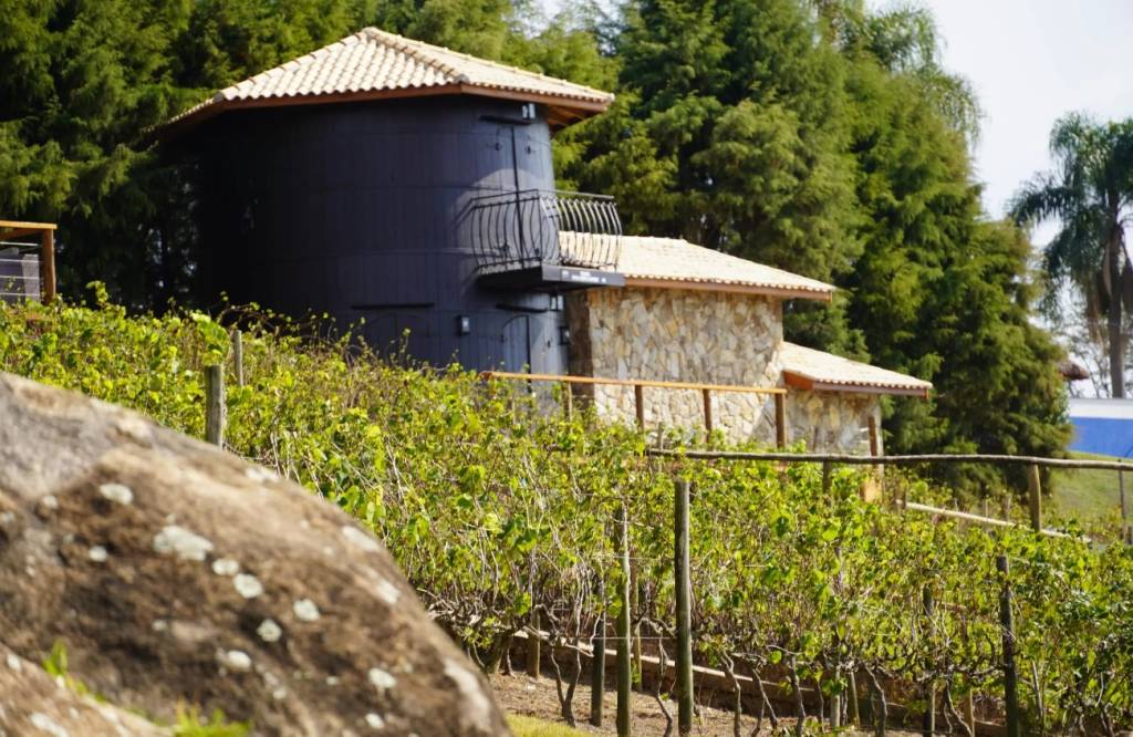 quinta-do-olivardo-toneis quinta-do-olivardo-toneis