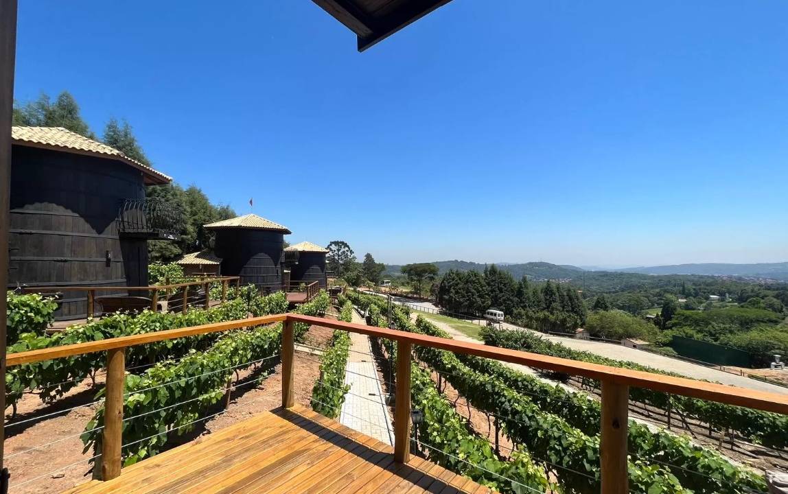 quinta-do-olivardo-vista
