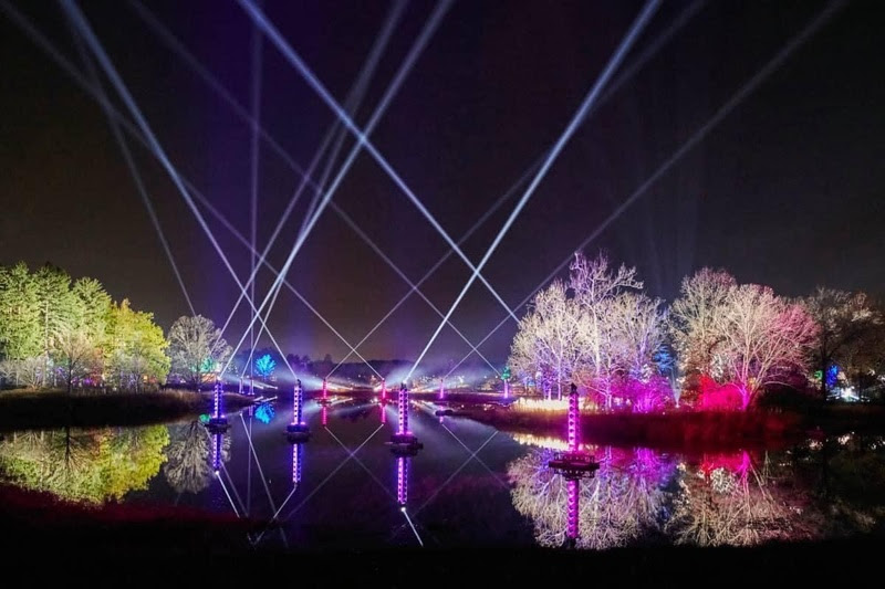Illumination: Tree Lights at The Morton Arboretum, Chicago, Estados Unidos Illumination: Tree Lights at The Morton Arboretum, Chicago, Estados Unidos