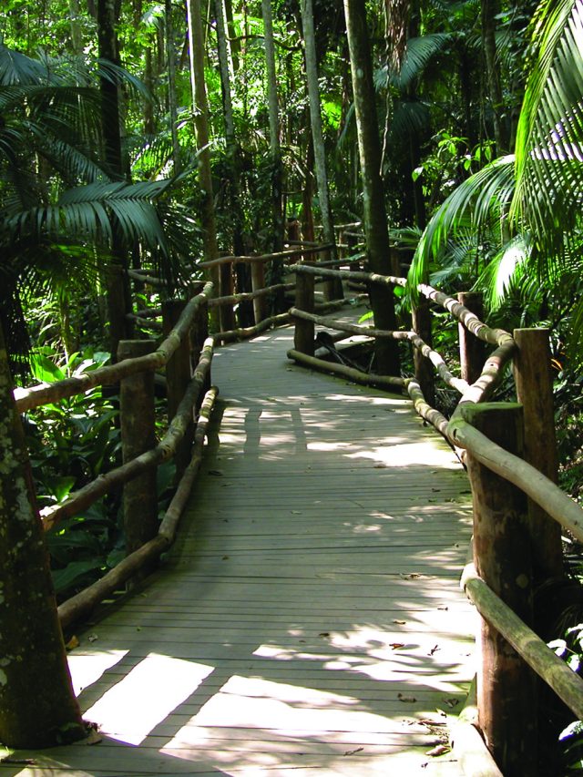 cropped-trilha-da-nascente-1.jpg