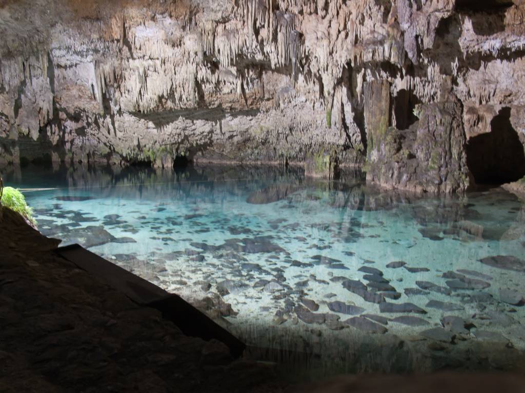 Cenote_Choo-Ha_-_Cobá Cenote_Choo-Ha_-_Cobá