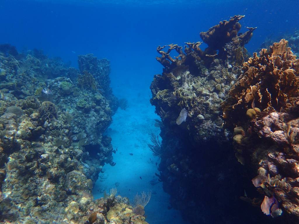 honduras-barreira-corais honduras-barreira-corais