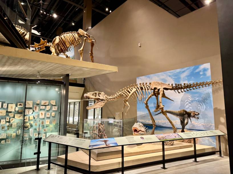 A ala dos dinossauros &eacute; um arraso