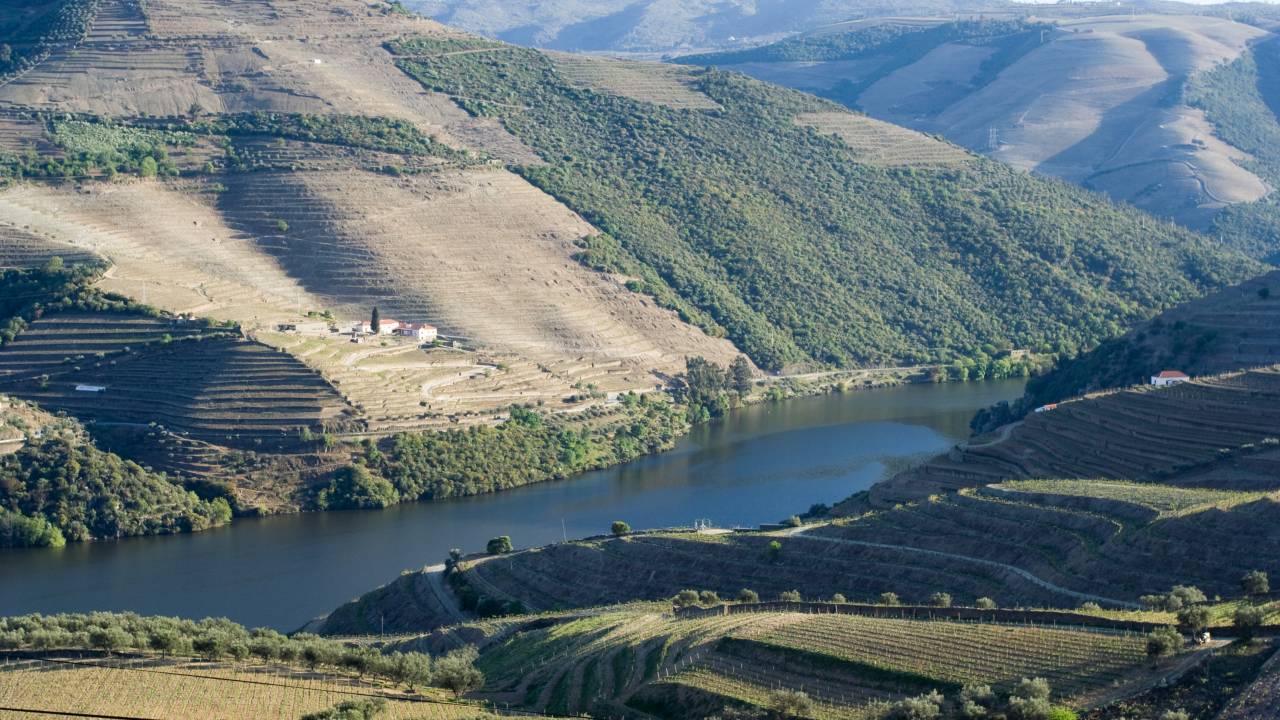 Vale do Douro