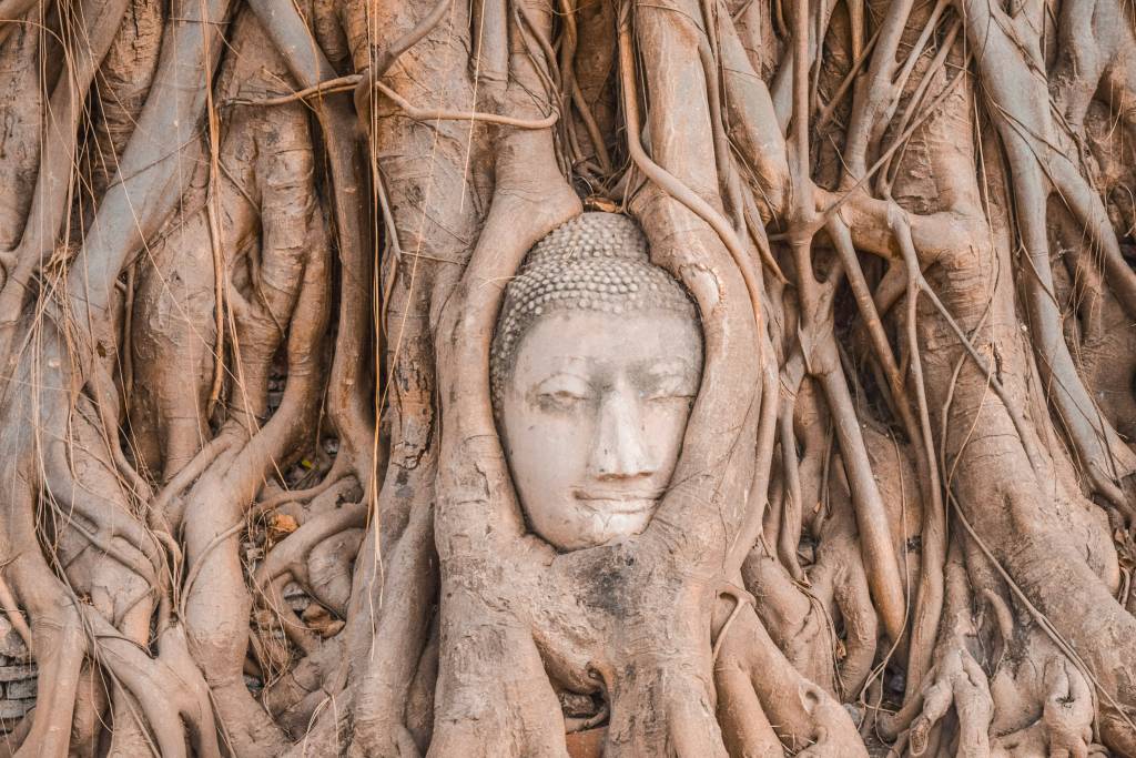 buda-raizes-wat-mahathat