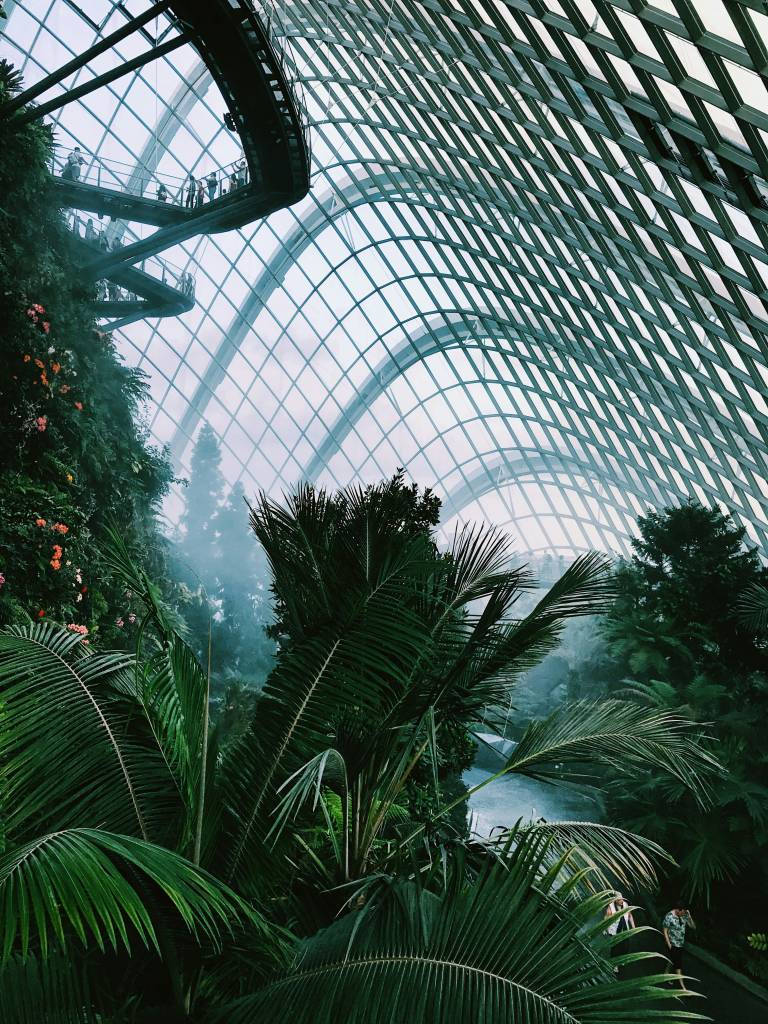 cloud-forest-gardens-by-the-bay