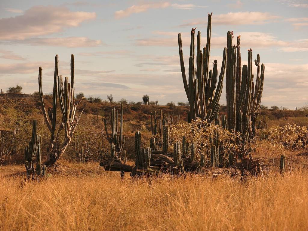 deserto-tatacoa deserto-tatacoa