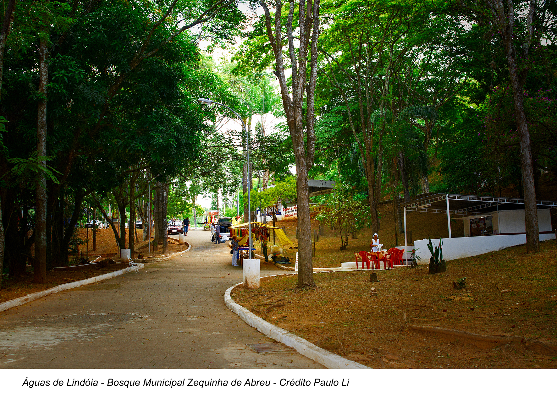 O bosque foi batizado em homenagem ao compositor da can&ccedil;&atilde;o Tardes de Lind&oacute;ia