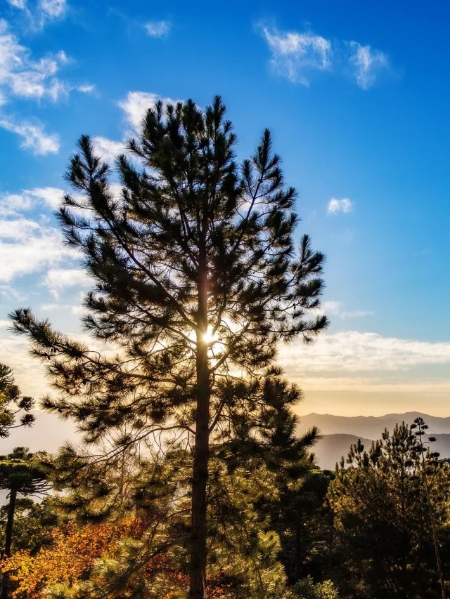 Capa de: 10 destinos no Brasil para viajar no outono