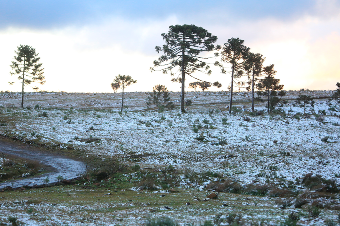neve santa catarina