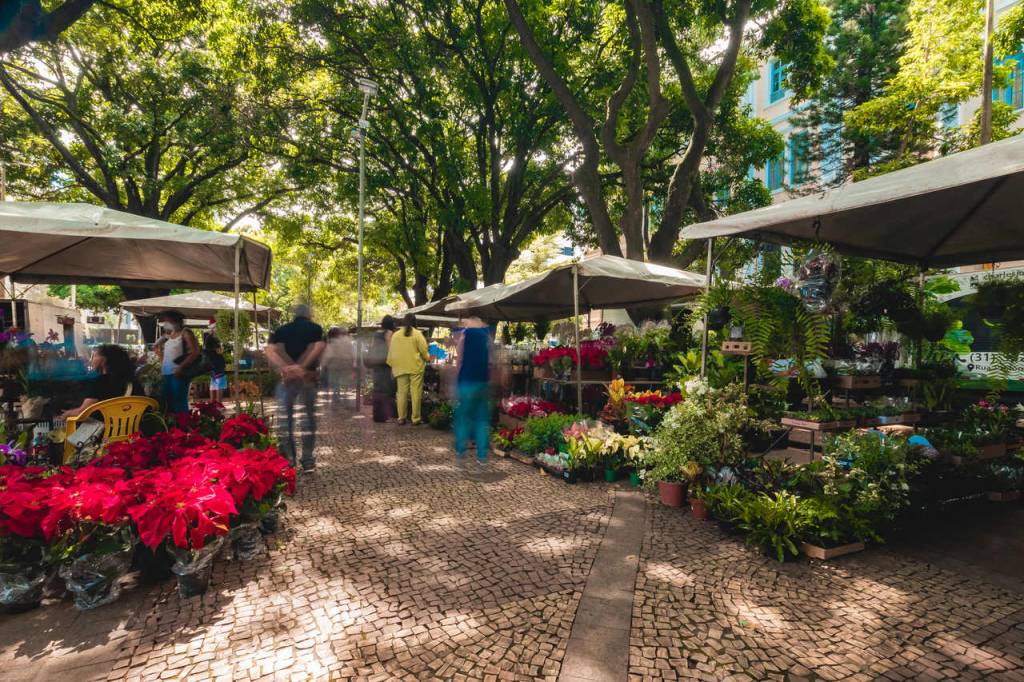 feira-flores-bh-2