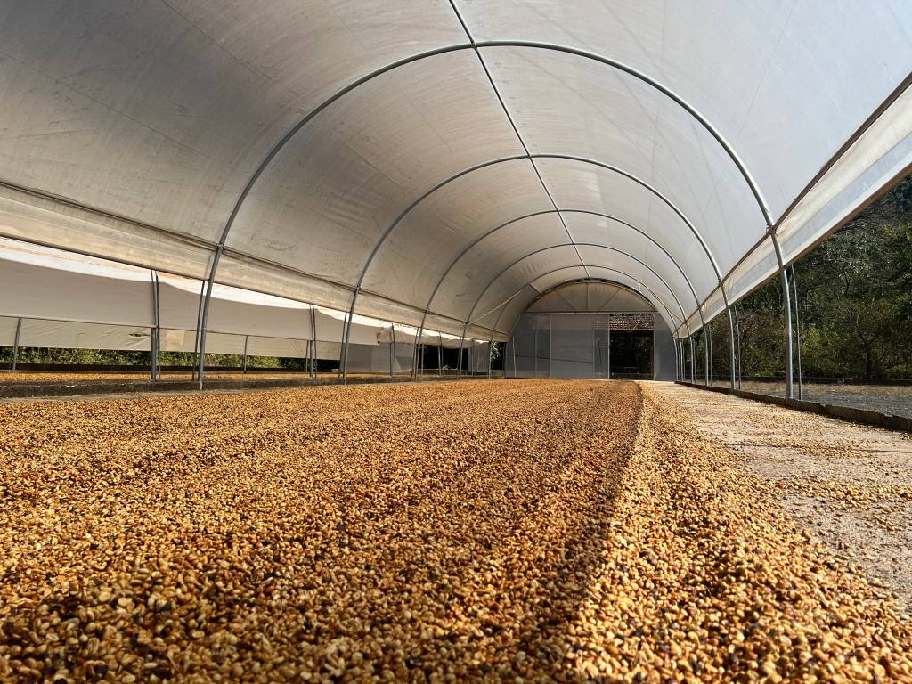 terreiro suspenso pousada do café